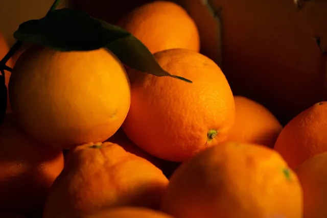 Grammaw Knows Citrus Sea Salt Grinder - Gourmet Seasoning