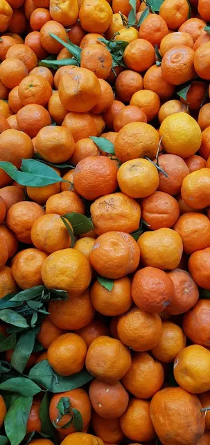 Grammaw Knows Citrus Sea Salt Grinder - Gourmet Seasoning