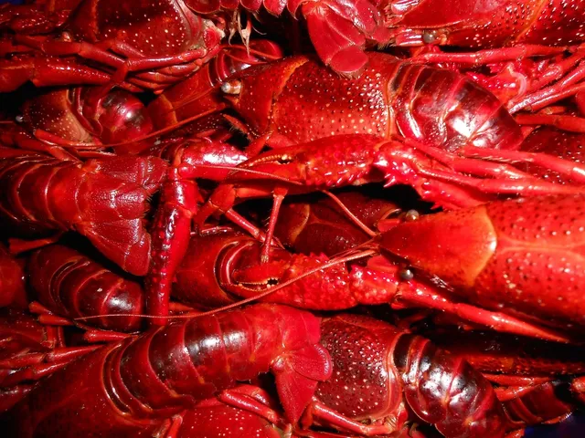 Grammaw Knows Seafood - Gourmet Seasoning